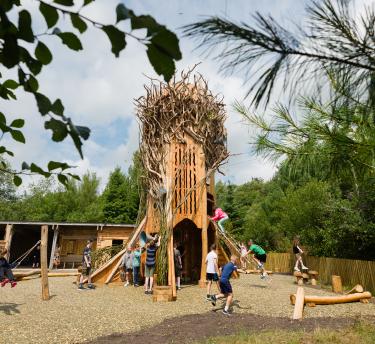 Play area with giant tree climbing tower